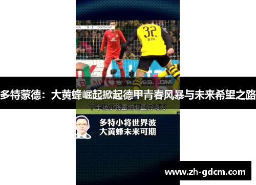 多特蒙德：大黄蜂崛起掀起德甲青春风暴与未来希望之路