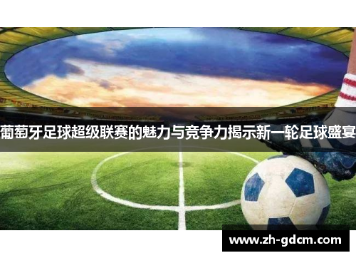 葡萄牙足球超级联赛的魅力与竞争力揭示新一轮足球盛宴