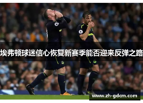 埃弗顿球迷信心恢复新赛季能否迎来反弹之路