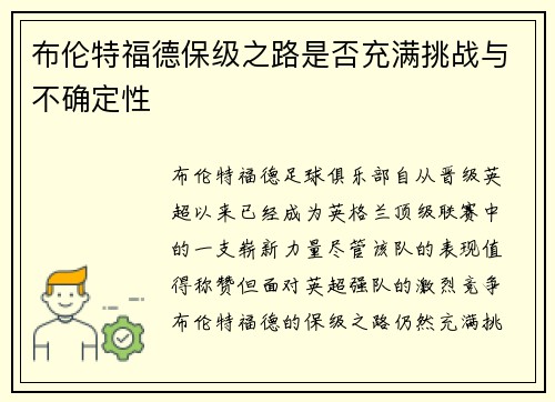 布伦特福德保级之路是否充满挑战与不确定性